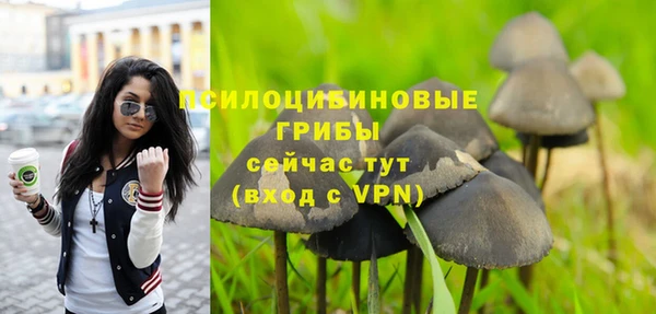 мескалин Карпинск