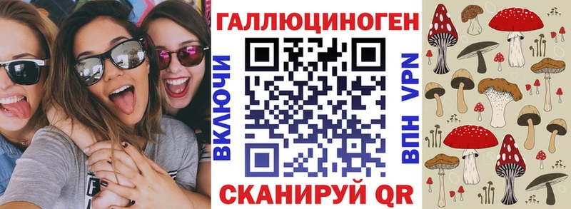 Галлюциногенные грибы Psilocybe  Купить закладки  Котельнич 